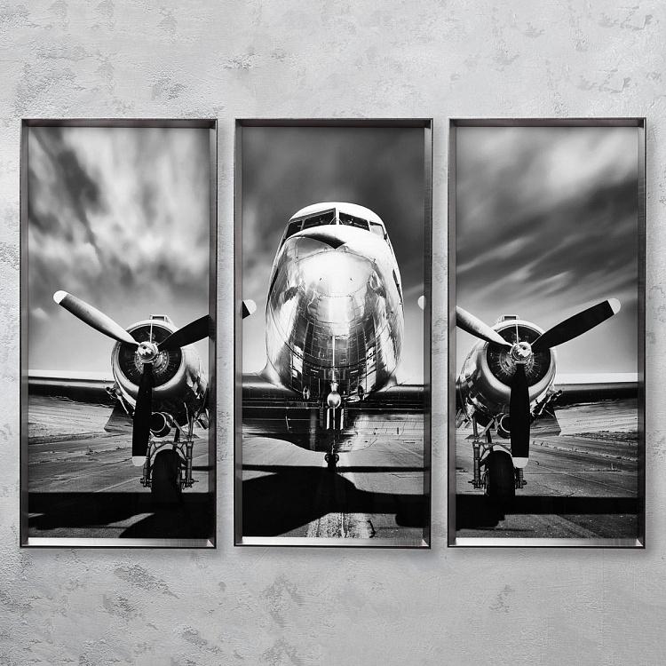 Модульный фото-принт в деревянной раме Аэроплан Set Of 3 Plane, Pewter Frame