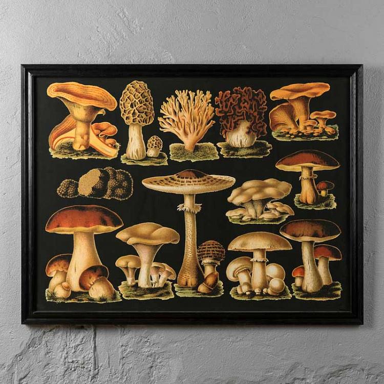 Картина-принт Грибы Mushrooms