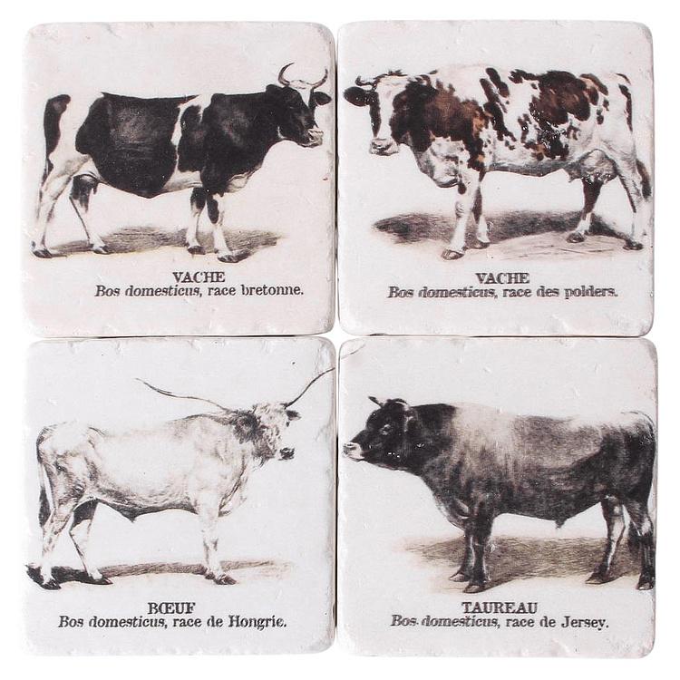 Набор из четырёх подставок под стаканы Коровы Set Of 4 Stone Coasters Cows
