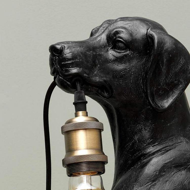 Настольная лампа Хороший пёс Good Dog Table Lamp