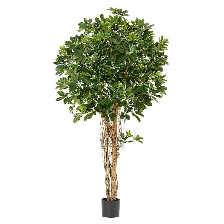 Искусственное дерево Umbrella Schefflera Green 170 cm