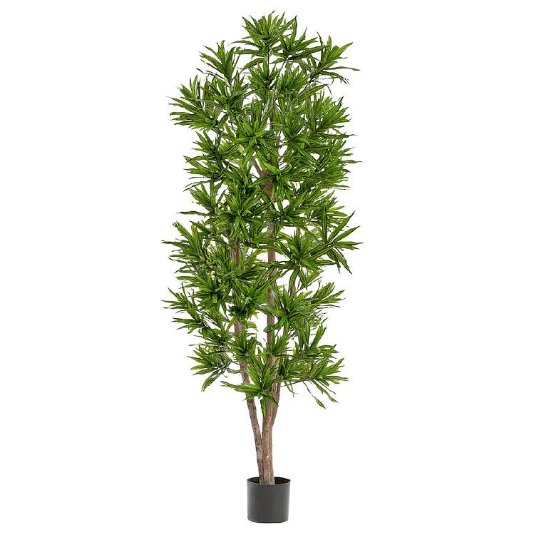 Искусственное дерево Natural Dracaena Reflexa 180 cm