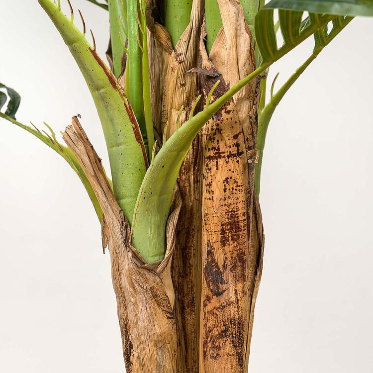 Искусственное растение Areca Betel 5 Trunks Palm 170 cm - ракурс 4