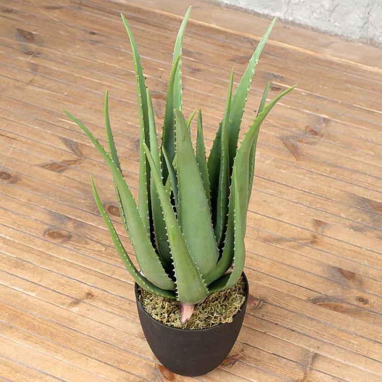 Искусственное алоэ Aloe 67 cm