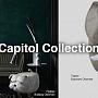 Веселые акценты интерьера от бренда Capitol Collection в наличии