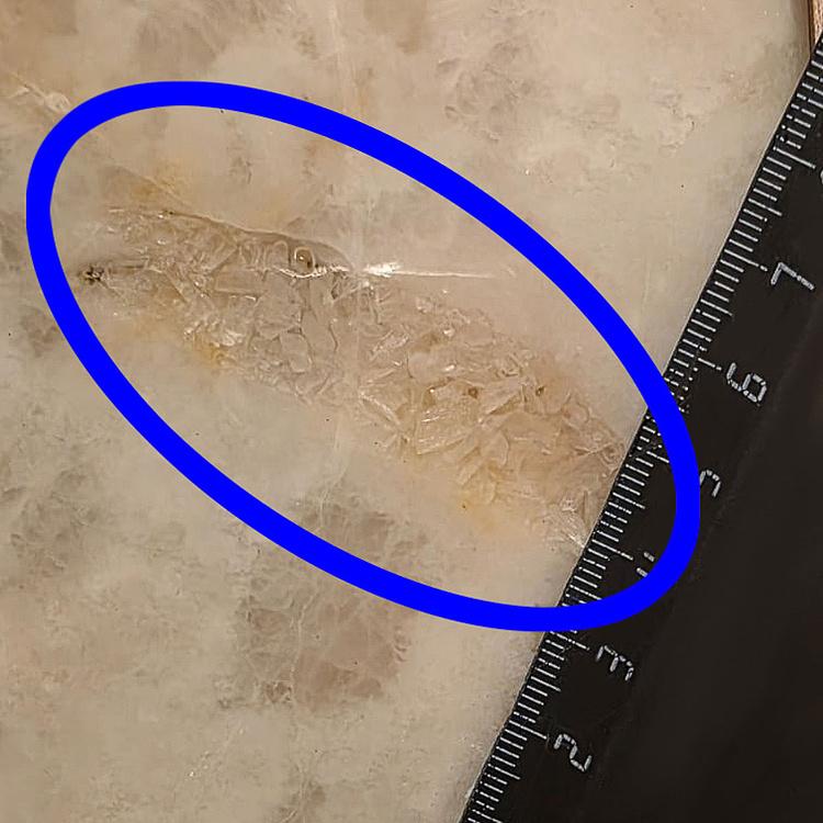 Настольная лампа Микро дисконт Micro Table Lamp discount