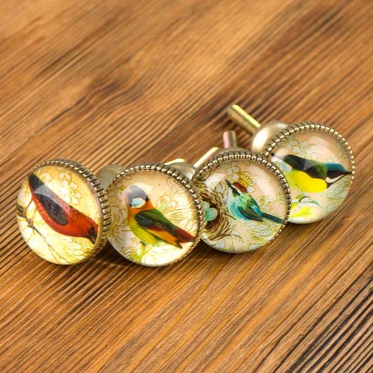 Набор из четырёх мебельных ручек Птицы 1, золотистые Set Of 4 Handles Birds 1 Gold