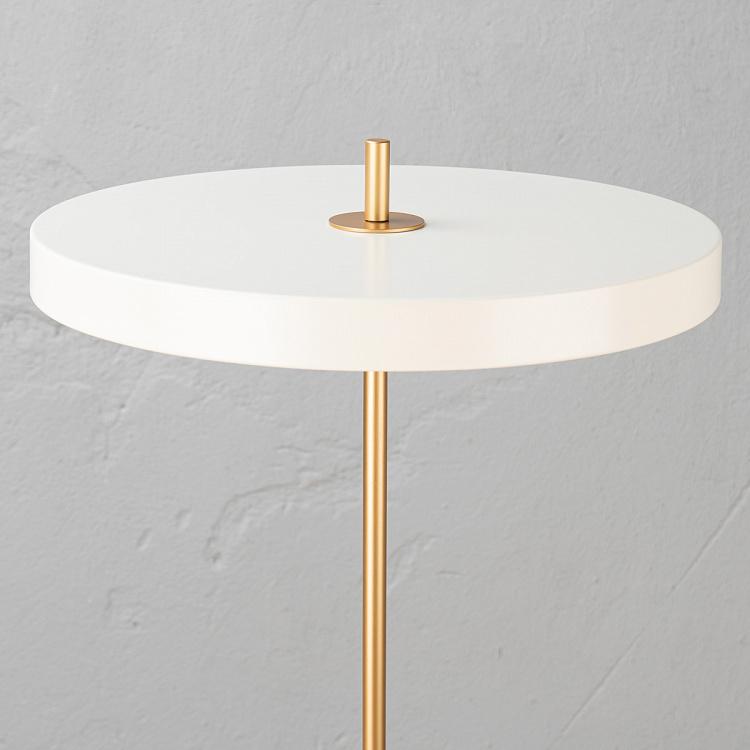 Торшер светодиодный Астерия Asteria Floor Lamp