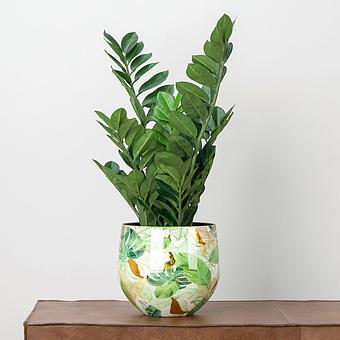 Кашпо Effectory Savage Garden Bowl Pot Botanical Small - ракурс 6