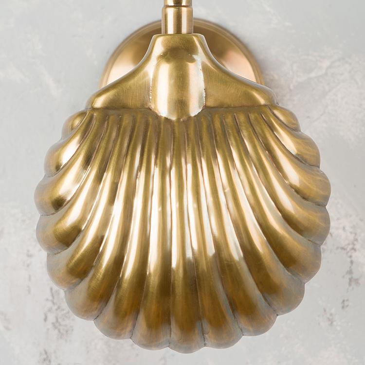 Бра Навсикая Nausicaa Wall Light