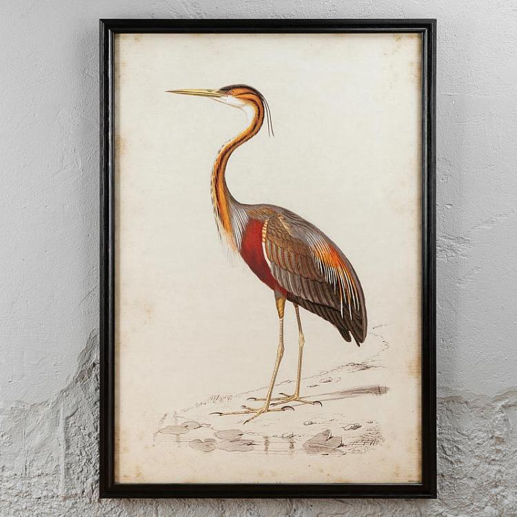 Картина-принт Цапля Nature Heron
