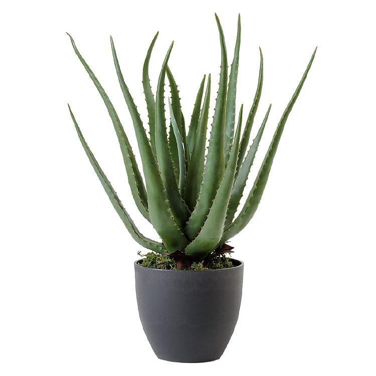 Искусственное растение Aloe 57 cm