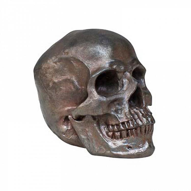 Статуэтка Ржавый череп Deco Rusty Skull