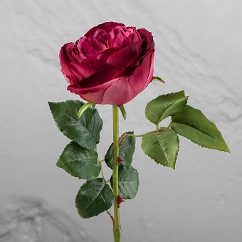 Искусственный цветок Gemma Rose Dark Fuchsia 56 cm