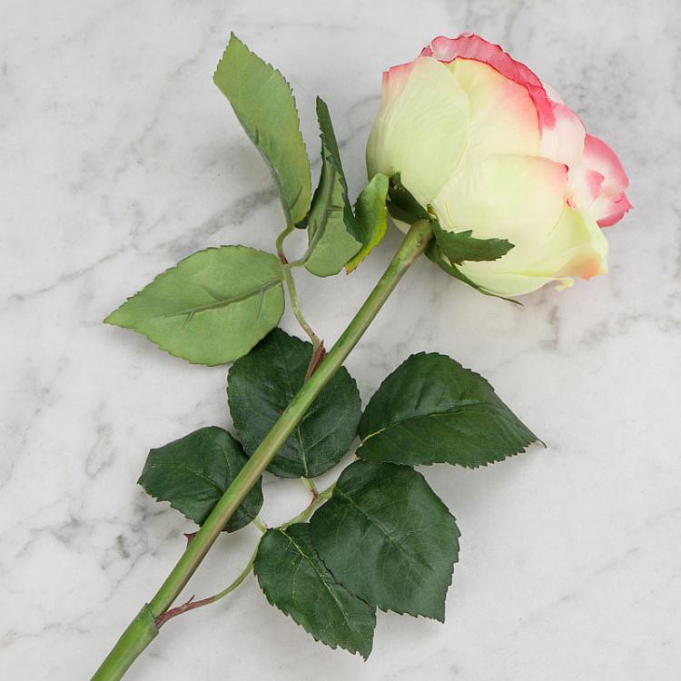 Искусственная роза Джема розово-лаймовая Gemma Rose Pink With Light Lime 56 cm