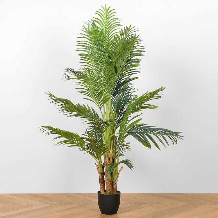 Искусственное растение Areca Betel 5 Trunks Palm 170 cm