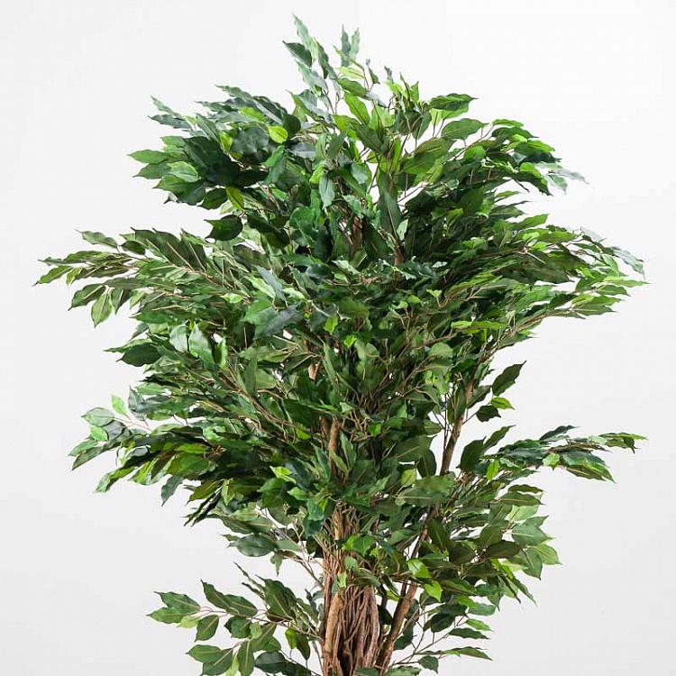 Искусственный фикус Лиана Де люкс, S De Luxe Ficus Liana 180 cm