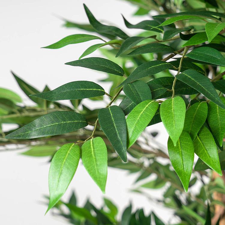 Искусственное дерево De Luxe French Ficus Liana 210 cm - ракурс 4