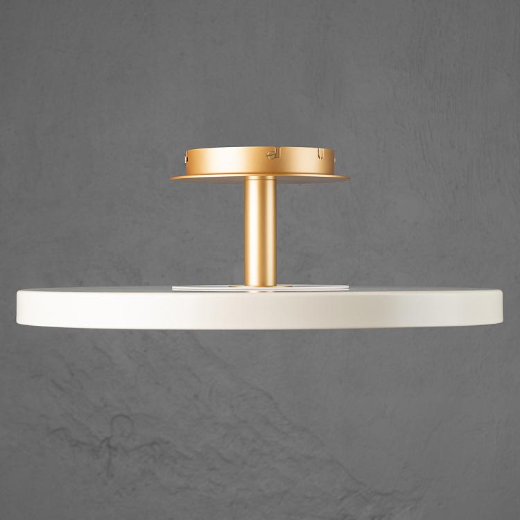 Люстра светодиодная Астерия, L Asteria Up Ceiling Lamp Large