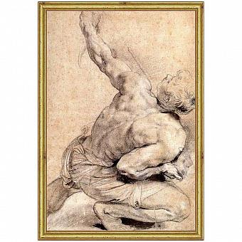 Rubens Study Of Back, Gold Frame
