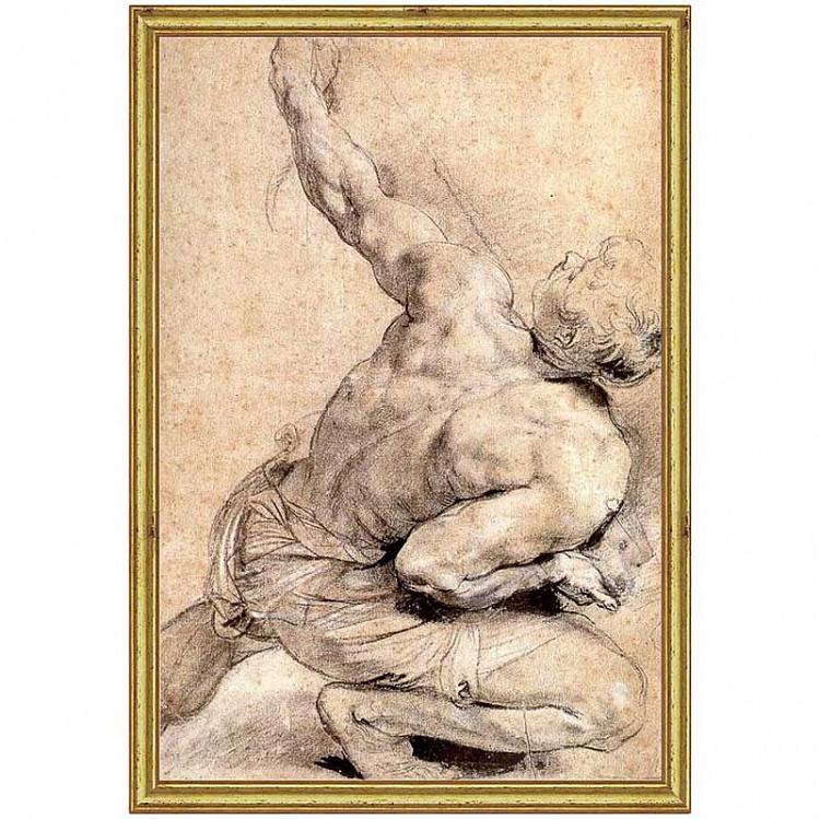 Рисунок-принт в золотой раме Рубенс, Изучение спины Rubens Study Of Back, Gold Frame