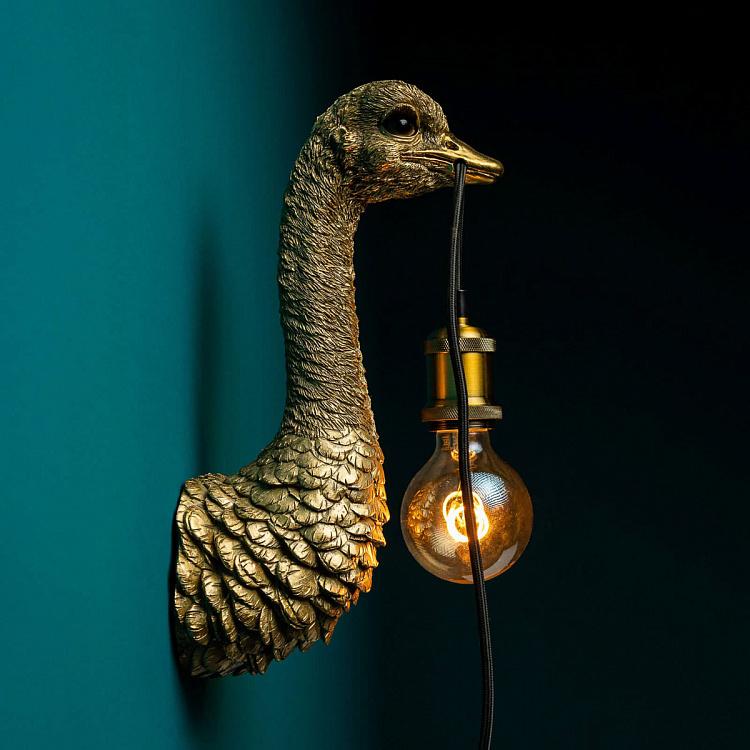 Бра Страусёнок Франц Иосиф Wall Lamp Baby Ostrich Franz Josef