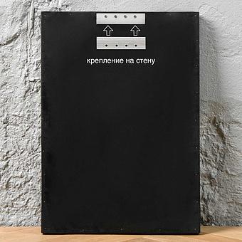 Картина-принт Calyptorhynchus Funereus Print