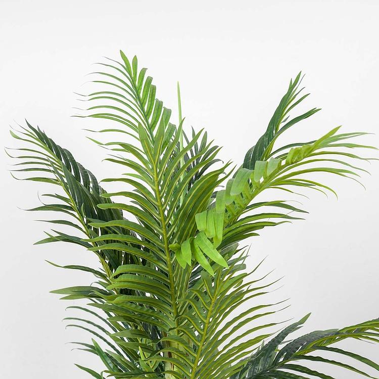 Искусственное растение Areca Betel 5 Trunks Palm 170 cm - ракурс 3