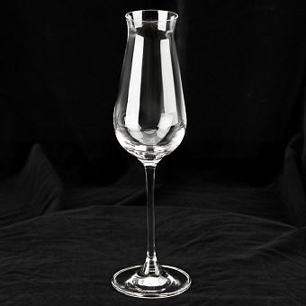 Desire Champagne Glass