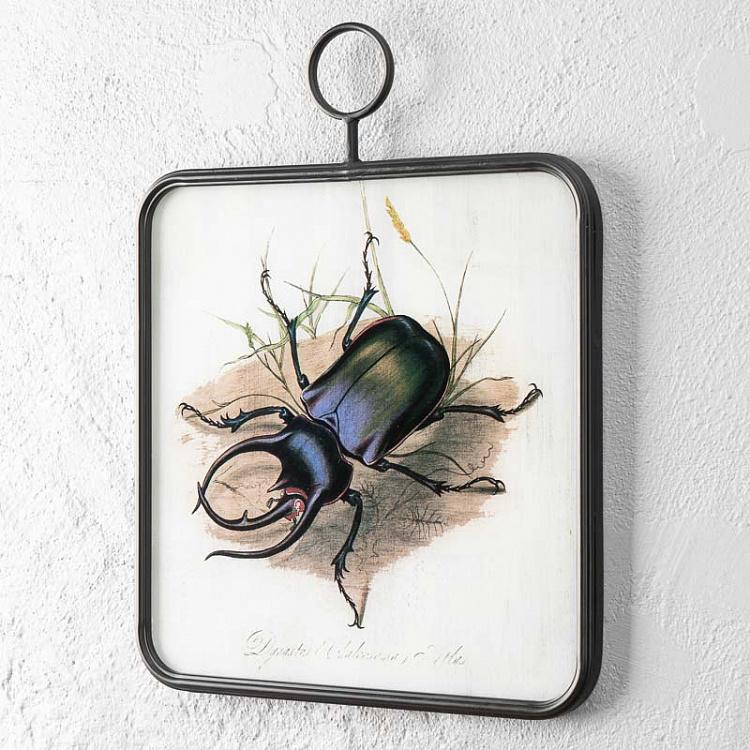 Картина-принт в металлической раме Насекомое Insect Glass Frame