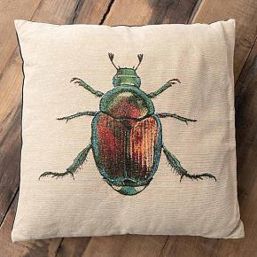 Cushion Beetle