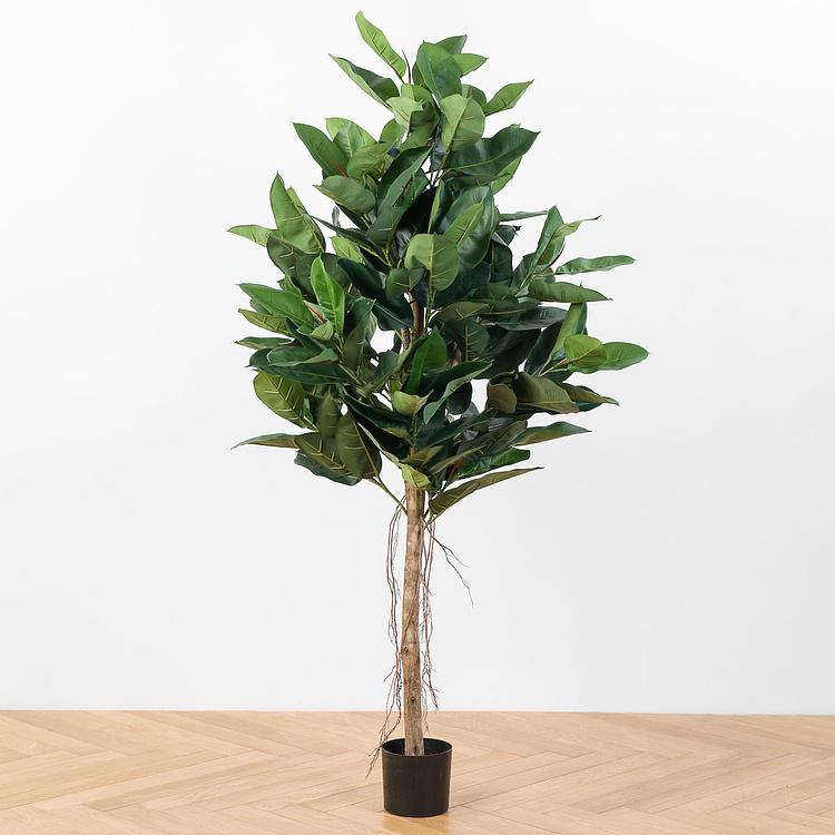 Искусственный Фикус Эластика, L Elastica Ficus Tree 180 cm