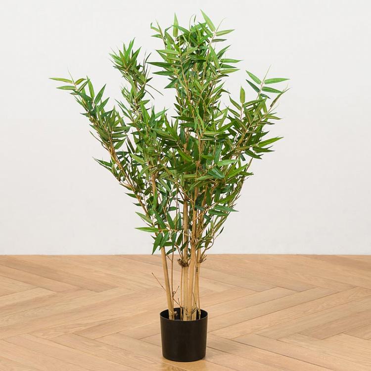 Japanese Oriental Bamboo 90 cm