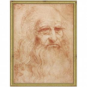 Da Vinci Drawing, Gold Frame