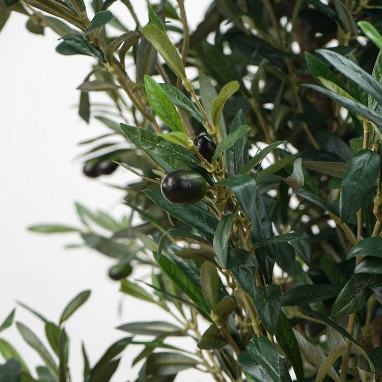 Искусственная олива Твист с плодами, M Twist Olive With Fruits 140 cm