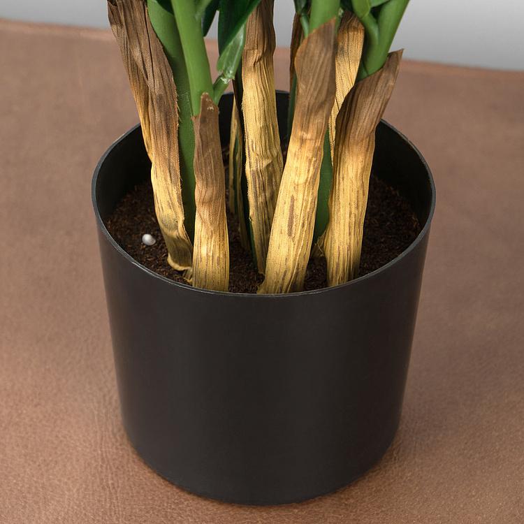 Искусственное растение Zamiokulkas Middle Bush 75 cm - ракурс 5