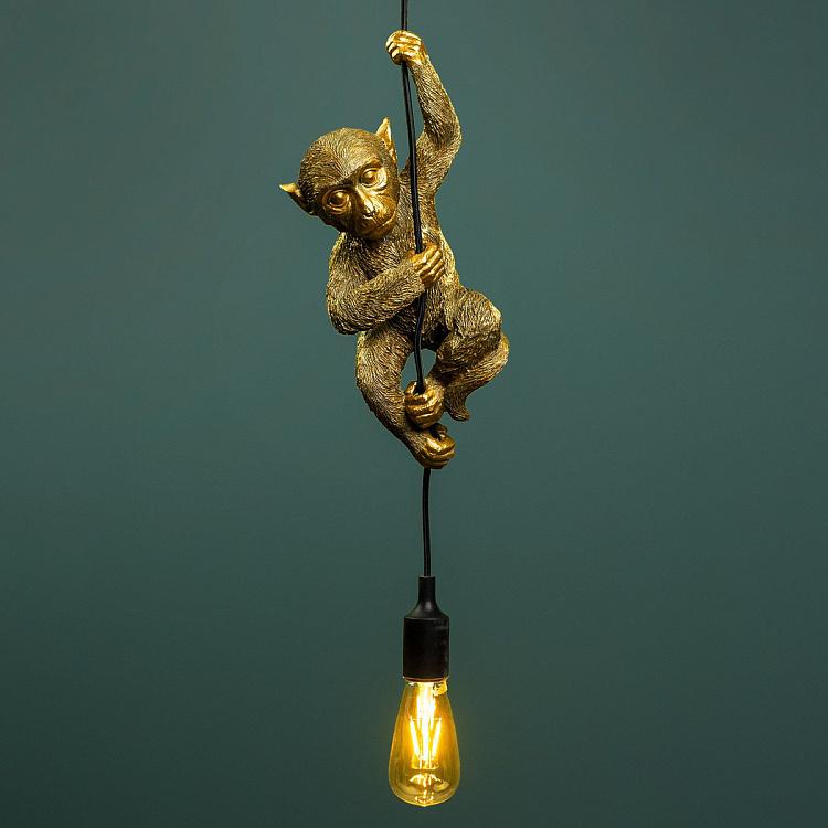 Подвесной светильник Обезьяна Чип Ceiling Lamp Monkey Chip