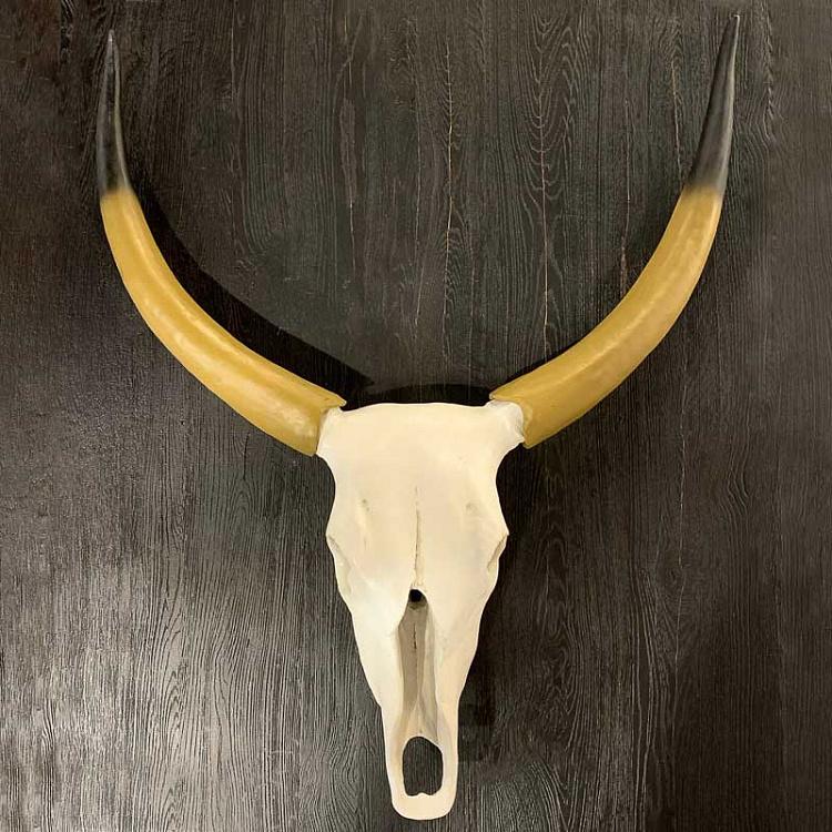 Wall Decoration Bull Horns discount