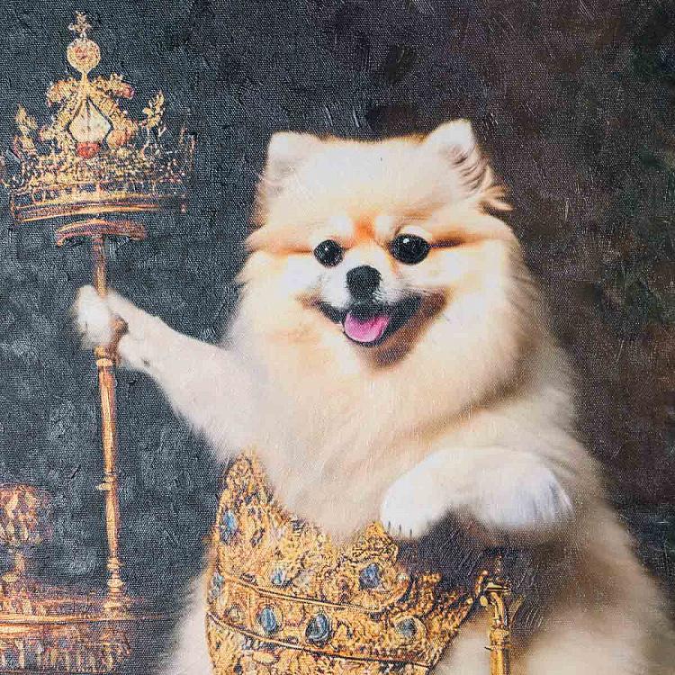 Картина Шпиц, холст, акрил Canvas Acrylic Painting Pomeranian