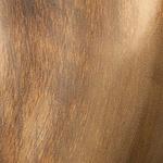 железо Brass-colored Iron