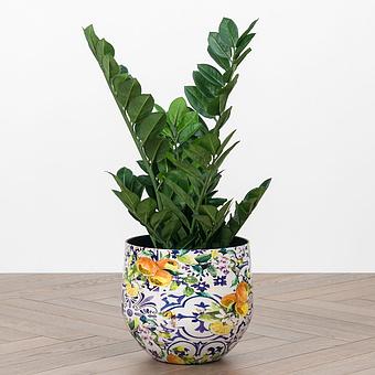 Кашпо Effectory Savage Garden Bowl Pot Capri Small - ракурс 9