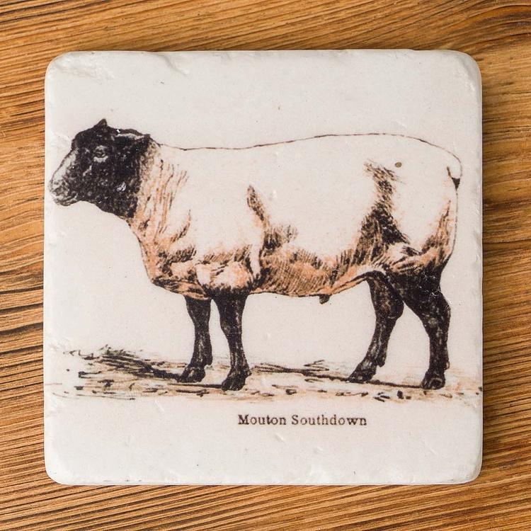 Набор из 4-х подставок под стаканы Set Of 4 Stone Coasters Sheep - ракурс 5