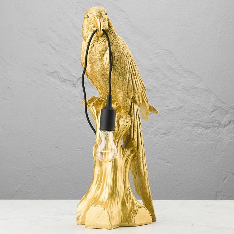Настольная лампа Попугай Тимми Table Lamp Parrot Timmy