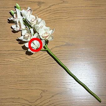 Искусственный цветок Cymbidium Orchid Branch White 67 cm discount - ракурс 2