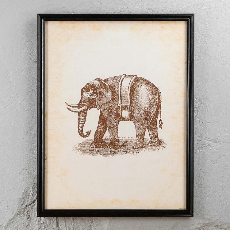 Картина-принт Слон Nature Elephant