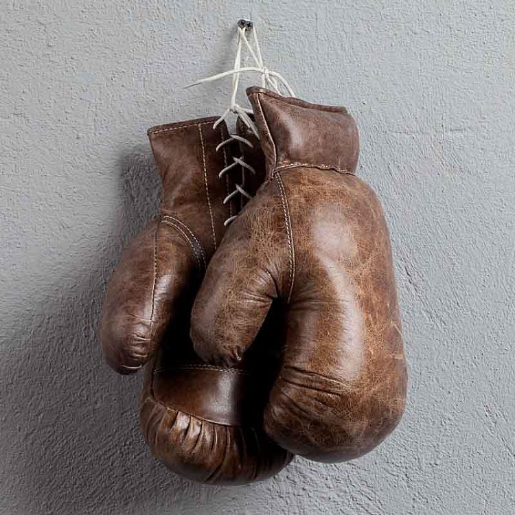 Sport Boxing Gloves Pair, Vintage Cigar