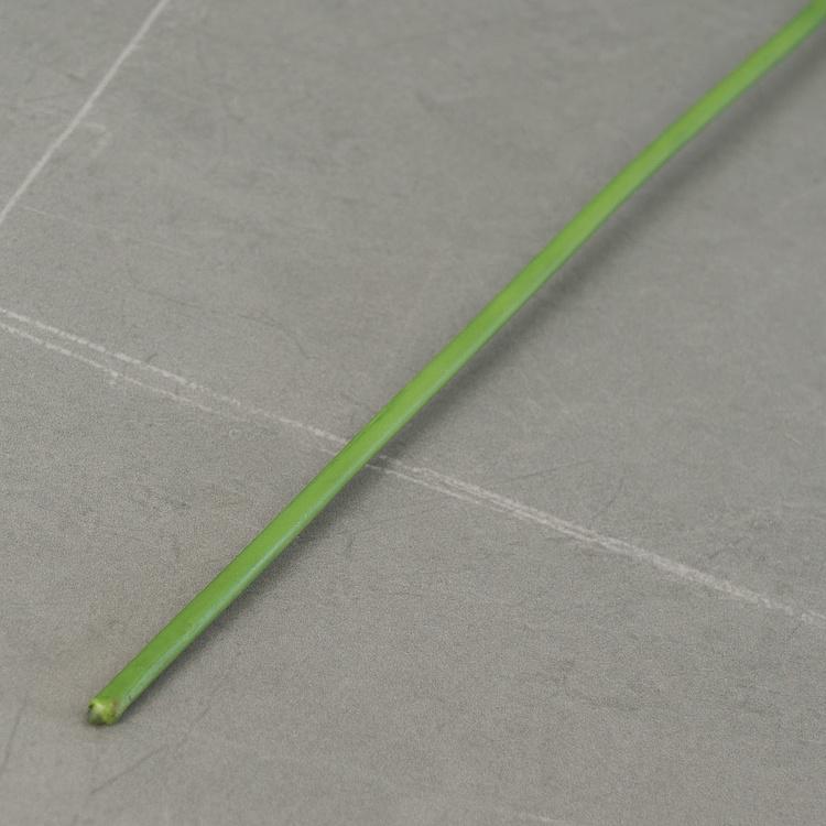 Искусственный нежно-розово-сиреневый ранункулюс Полевой Field Ranunculus Pink Lilac