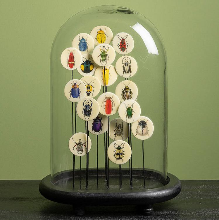 Статуэтка Разноцветные насекомые под стеклянным куполом Glass Dome With Colored Insects