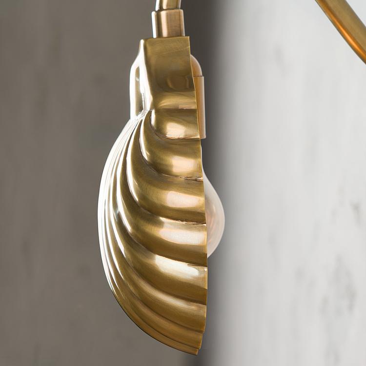 Бра Навсикая Nausicaa Wall Light