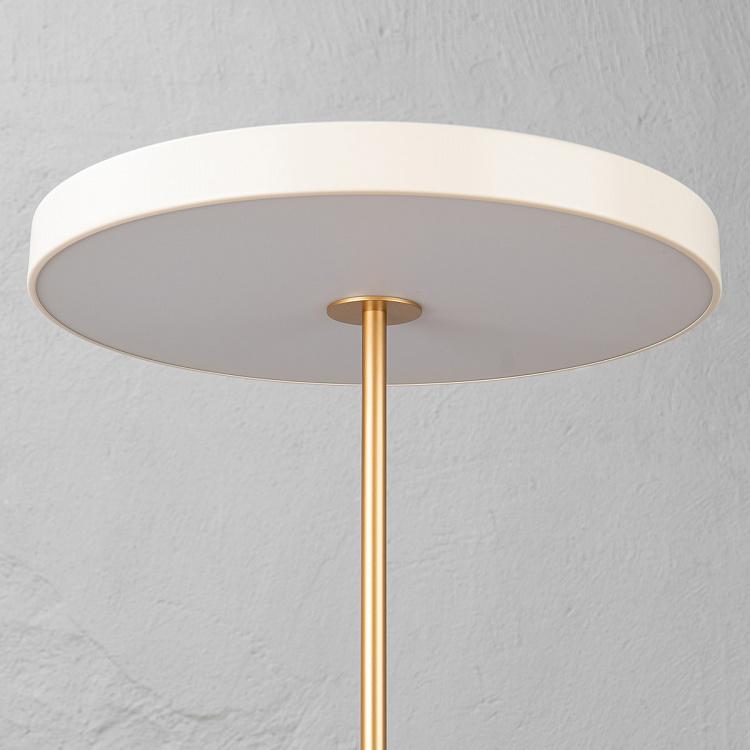 Торшер светодиодный Астерия Asteria Floor Lamp